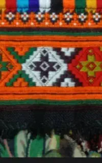 زی استین