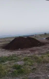 کود حیوانی