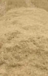 کاه گندم دیم