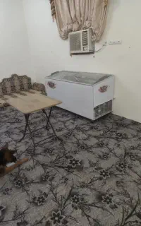 فریزر ششصد لیتری