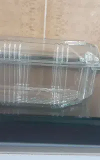 ظروف یکبار مصرف