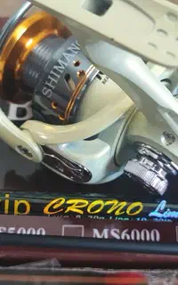 اسپینینگ ماهیگیری مخصوص دریاچه نئور و همه سدها
