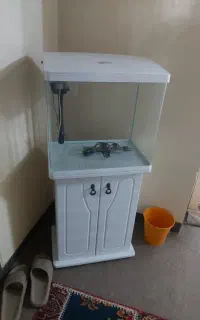 آکواریوم k 500 دلسا
