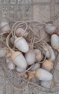 ریسه لامپ
