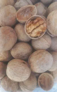 گردو.خشکبار.پسته.زعفران