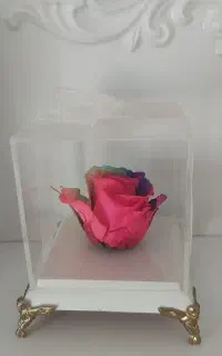 گل رز جاودان مناسب هدیه