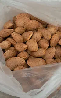 بادام