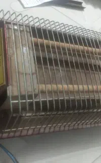المنت برقی