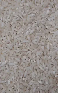 ارزانسرا،مواد غذایی،برنج،طبیعت و شوینده