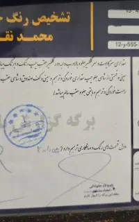 سمند الیکس ۹۵گازسوز