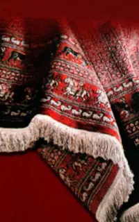 قالیشویی ومبل شویی ابریشم(طلایی)تضمینی کل مشهد