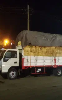 جک آراز ۹تن