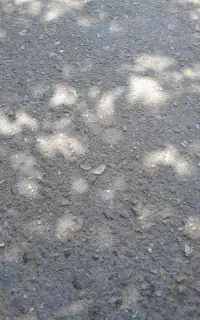 تلفن ثابت