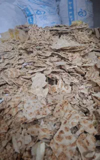 نان خشک دامی گوسفندی ضایعاتی