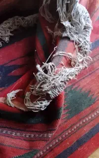 فرش