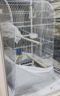 قفس پرنده بزرگ