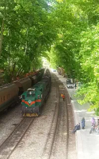 تور 1روزه بیشه