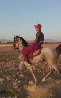 نریان کرد