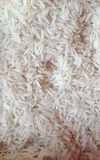 برنج هاشمی در تالش