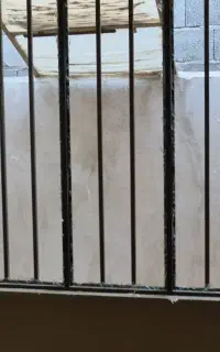درب وپنجره آهنی ضدسرقت