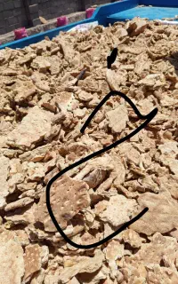 نان خشک