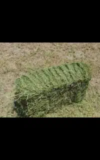 یونجه بسته بندی