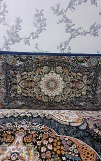 پشتی سالم