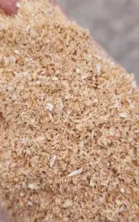 سبوس گندم