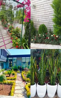 خدمات حرفه ای باغبانی رسیدگی به گل های آپارتمانی