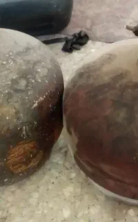 پیک نیک