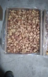 خرما زاهدی درجه یک فروشی