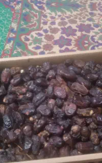 خرمای فله مضافتی کیلوی 50هزار ت