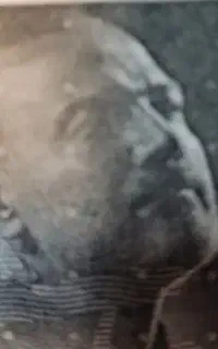 کنسرت علی رضا قربانی