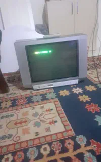 تلویزیون ایوا