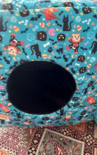 خونه گربه به فروش میرسد