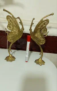 پروانه برنز
