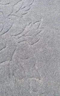 موکت
