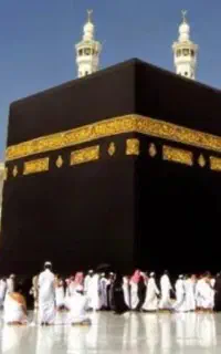 فروش فیش مکه عمره عازم به سفر