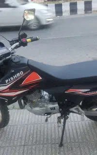 تریل پیشرو ۲۵۰ گلد