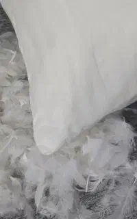 ۳۰ کیلو پر قو