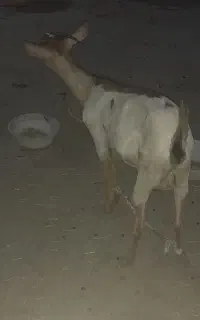 ۲۶میلیون