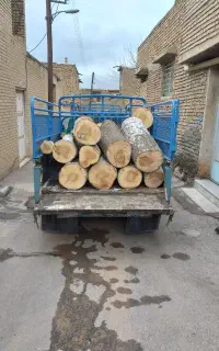 خرید و بوریدن انواع چوب و تخریب ساختمان چوبی