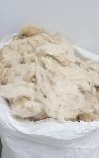 پشم گوسفندی