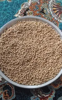 نخود آبگوشتی زود پز امسال کیلو ۱۶۰