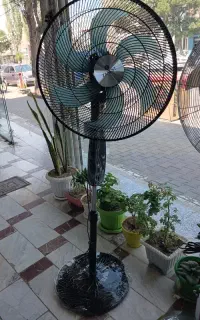 پنکه