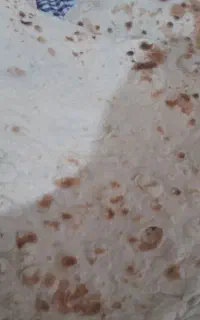 نون خانگی
