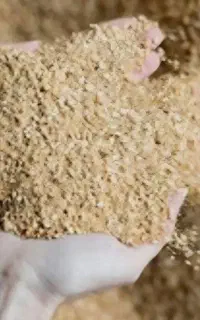 خوراک دام- مرغ، خروس، گاو، گوسفند