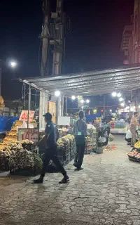 نیروی کار در میوه فروشی (فقط تماس)