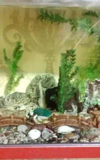 آکواریوم بدلیل مهاجرت