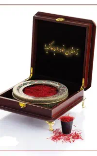 خشک کن زعفران کم صدا و پرقدرت برند